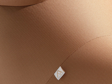 Serie Up Compasso d'Oro Lounge Chair - Limited Edition
