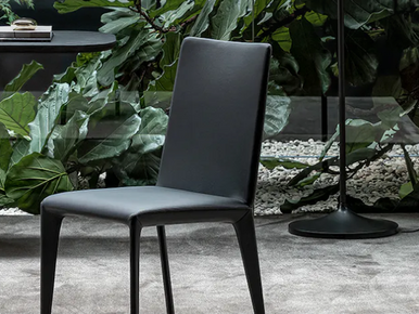 Filly Up Dining Chair - Quickship