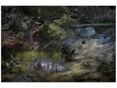 Forest Floors Landscape Rug