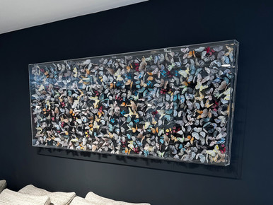 Butterfly Wall Art - Melange