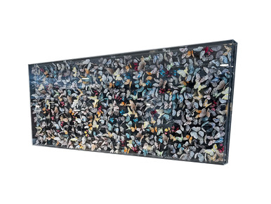 Butterfly Wall Art - Melange