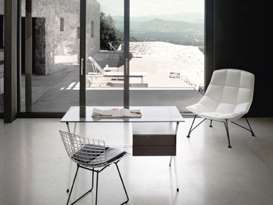 Bertoia Dining Chair - Quickship