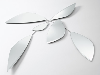 Leaf Mirror