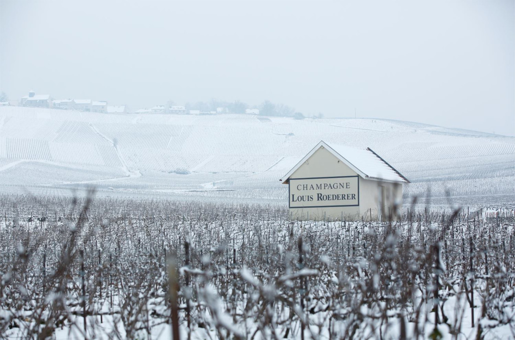 CHAMPAGNE LOUIS ROEDERER COLLECTION 243 NAMED DECANTER’S CLASSIC WINE OF THE YEAR 2023