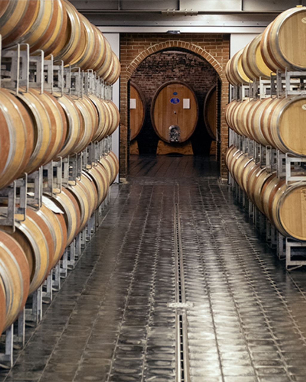 Gaja Sperss Barolo DOCG 2019 | primitus fine wines