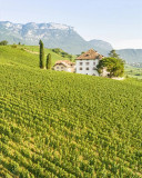 Elena Walch Pinot Noir "Aton" Riserva 2018