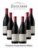 Zuccardi Polígonos Paraje Altamira Malbec 2023
