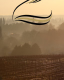 Faiveley Echezeaux En Orveaux Grand Cru 2022