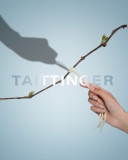 Taittinger Brut Réserve Champagne - Half Bottle