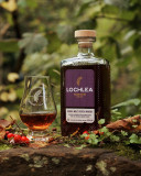 Lochlea Overtone Over & Stout.