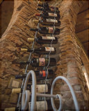 Tua Rita / 2020 Syrah Per Sempre En Primeur