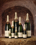 Pol Roger Brut Vintage 2015