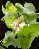 Taittinger Brut Reserve Bottle