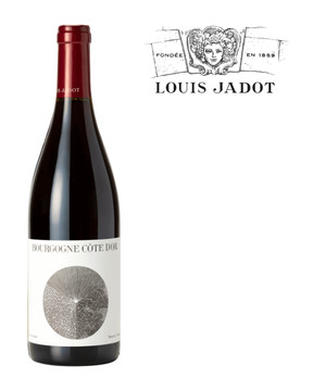 Louis Jadot Bourgogne Côte D'Or 2021 Louis Jadot Bourgogne Côte D'Or 2021