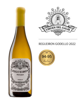Virgen del Galir Regueiron Godello 2022