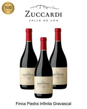 Zuccardi Finca Piedra Infinita Gravascal 2021