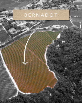 Ceretto Barolo Bussia DOCG 2016 Ceretto Barolo Bussia DOCG 2016