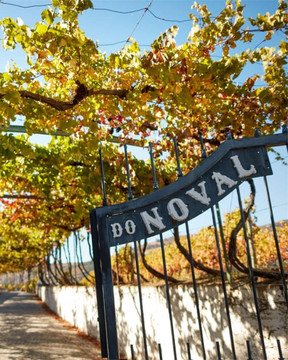 Quinta do Noval Vintage Port 2016 Quinta do Noval Vintage Port 2016