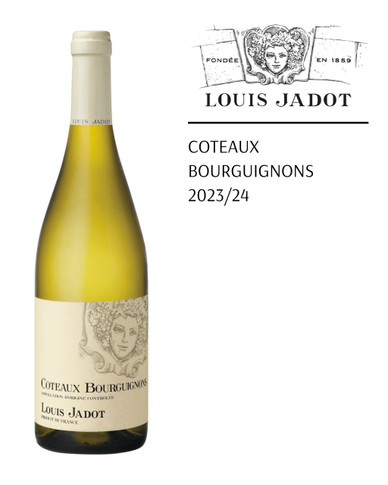Louis Jadot Coteaux Bourguignons 2023