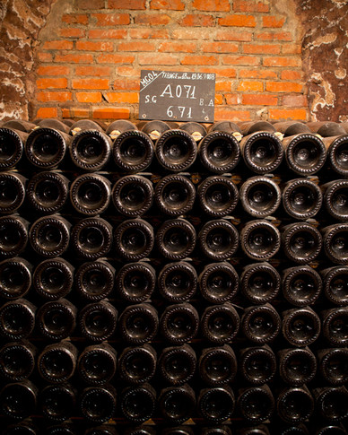 Pol Roger Brut Vintage 2016