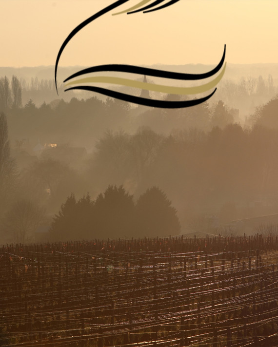 Faiveley Echezeaux En Orveaux Grand Cru 2022