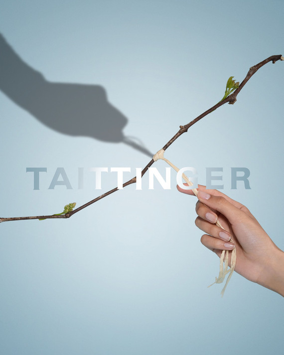 Taittinger Brut Réserve Champagne - Half Bottle