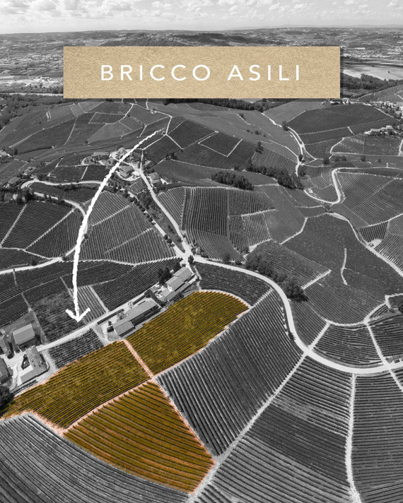 Ceretto Barbaresco Asili DOCG 2015
