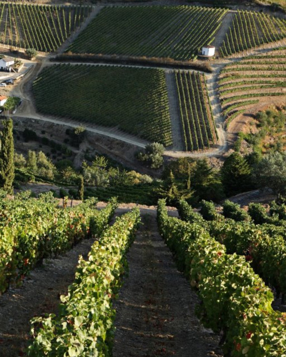 Taylor's 2017 Vintage Port x 6 Bottles