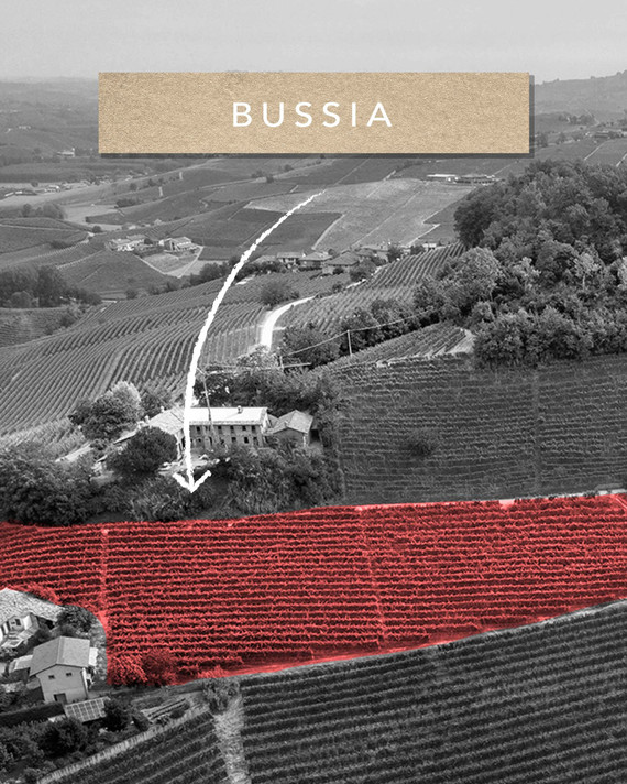 Ceretto Barolo Brunate DOCG 2016.