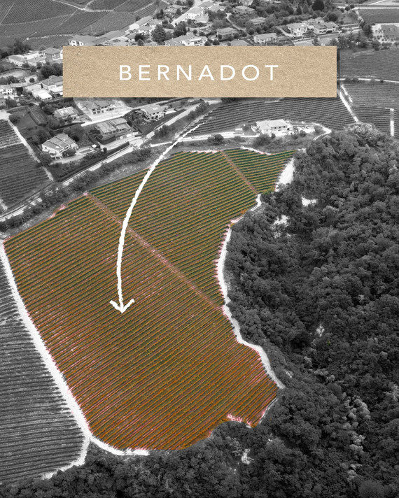 Ceretto Barolo Brunate DOCG 2016.