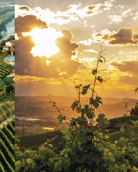 Gaja Barolo Sperss DOCG 2016