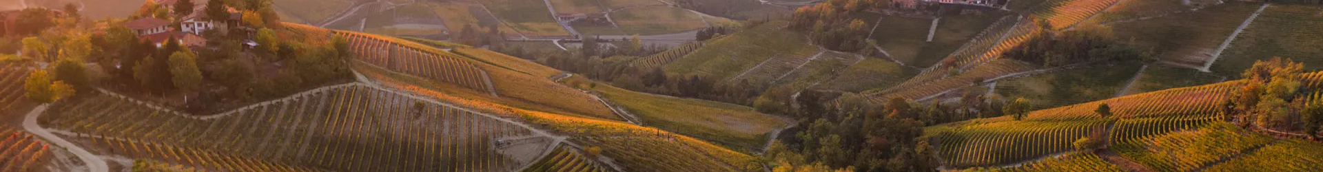 Piedmont Wines piedmont Wines