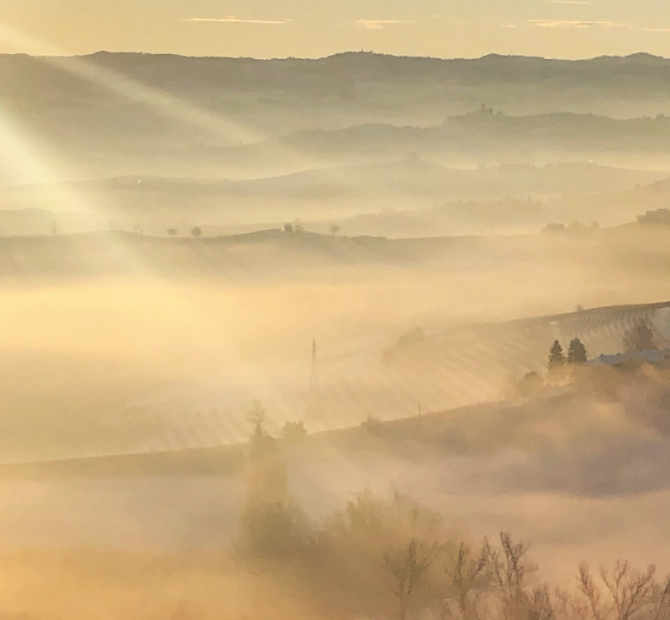 Fratelli Alessandria Barolo 2015.