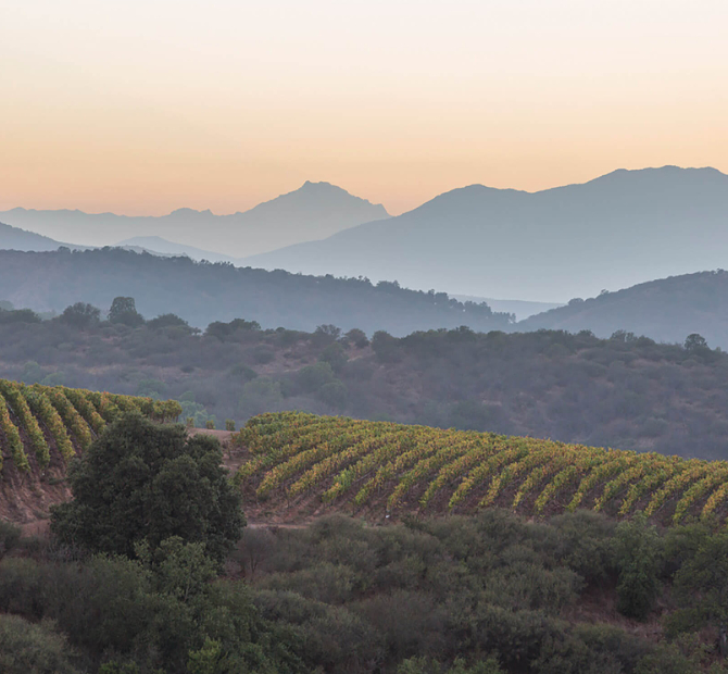 Arboleda Aconcagua Costa Sauvignon Blanc 2024.