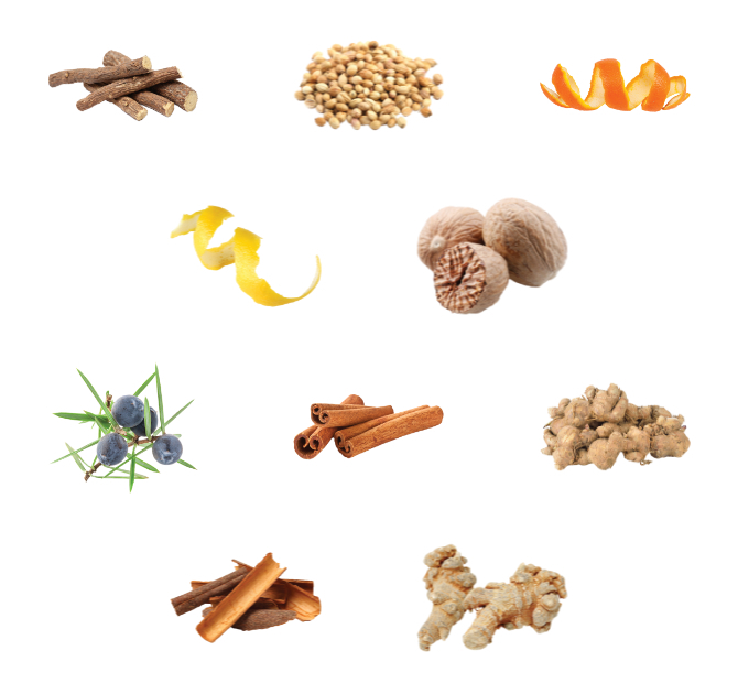 Broker's London Gin.