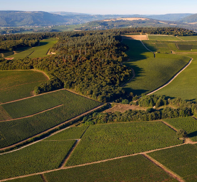 Domaines Leflaive Pouilly-Fuissé 2022.