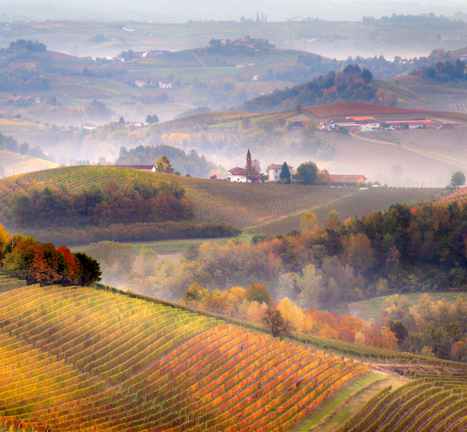 Boggione Claudio Barolo Brunate 2014. Boggione Claudio Barolo Brunate 2014.