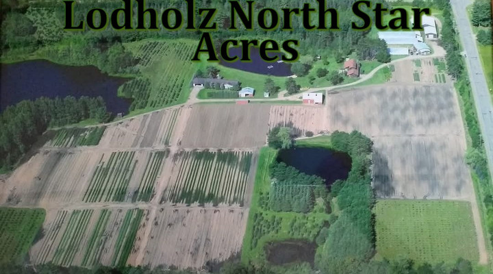 Lodholz North Star Acres Inc
