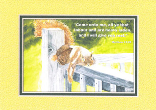 KJV Scripture Encouragement Card - Squirrel