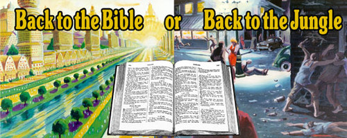 Back to the Bible or Back to the Jungle - Magnet