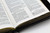 The Old Scofield Study Bible:  Pocket Edition (1917 Notes) (more options available)