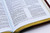 The Old Scofield Study Bible:  Pocket Edition (1917 Notes) (more options available)