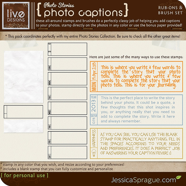 Photo Stories - Photo Captions Rub-Ons & Brush Set