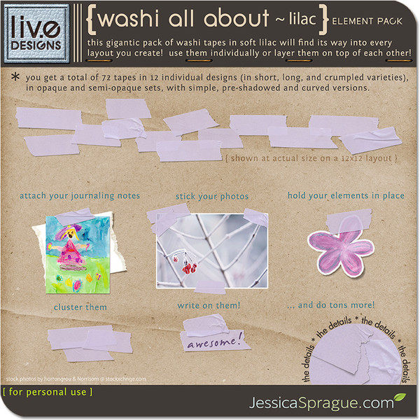 Washi All About - Lilac Tapes