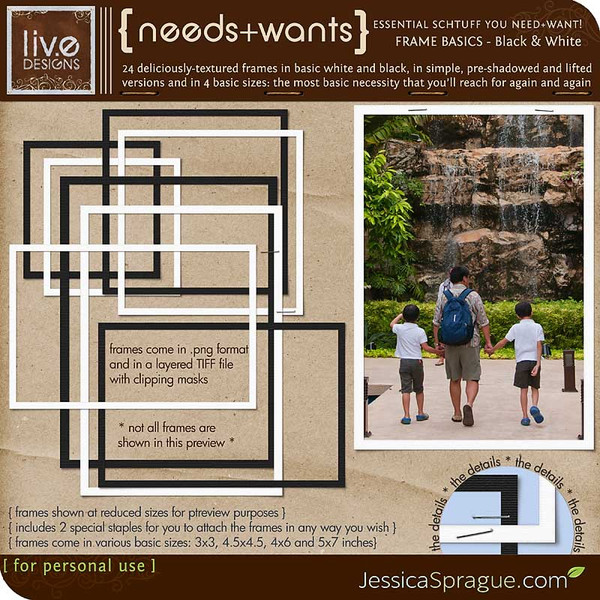 Needs + Wants: Frame Basics - Black & White