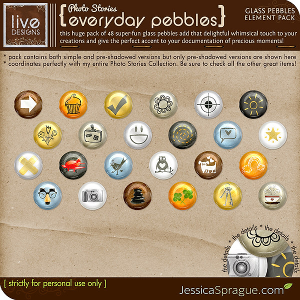 Photo Stories - Everyday Pebbles