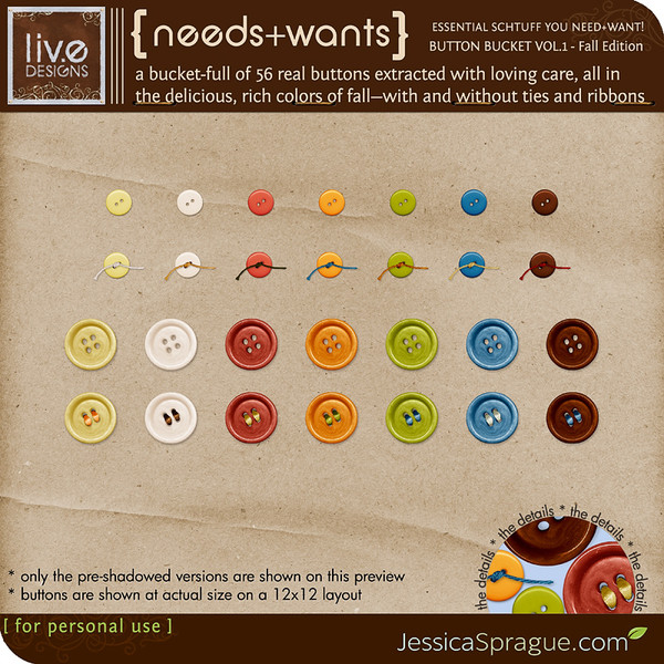 Needs + Wants: Button Bucket Vol.1 (Fall Edition)