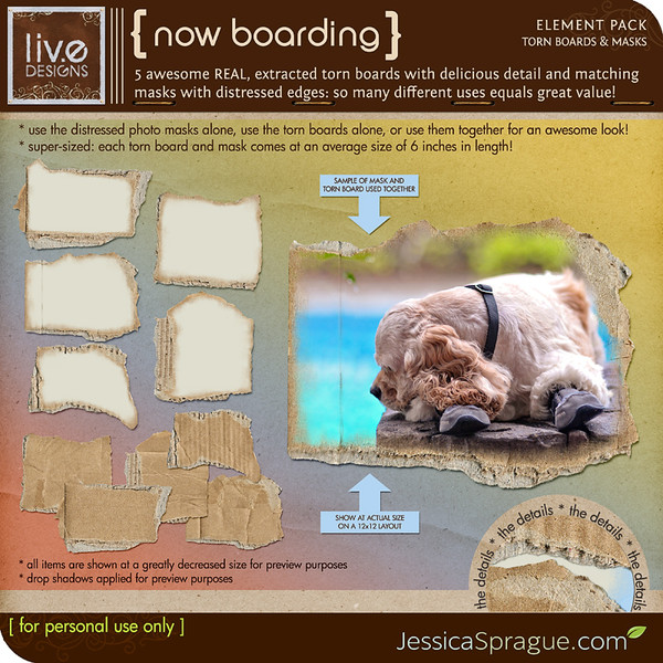 Now Boarding (Torn Boards & Masks)