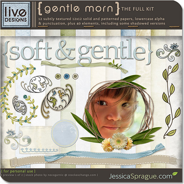 Gentle Morn Kit