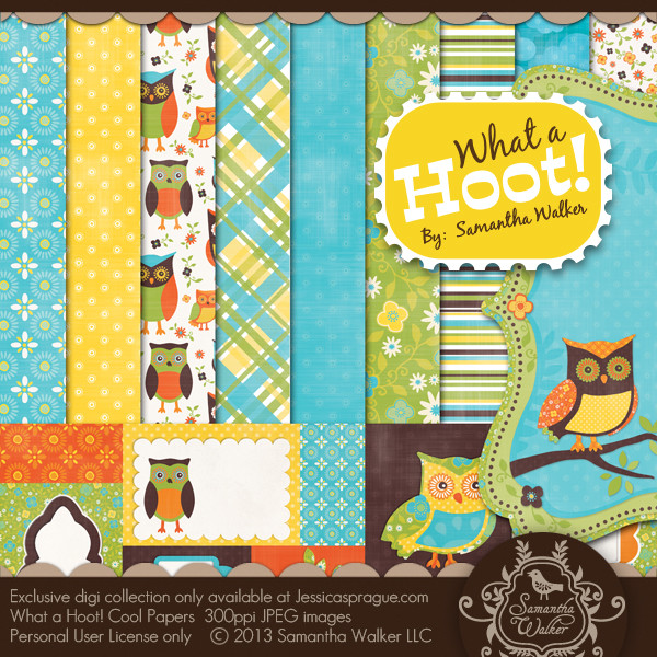 What a Hoot! Cool Papers
